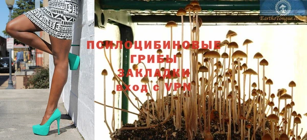 гашик Лихославль