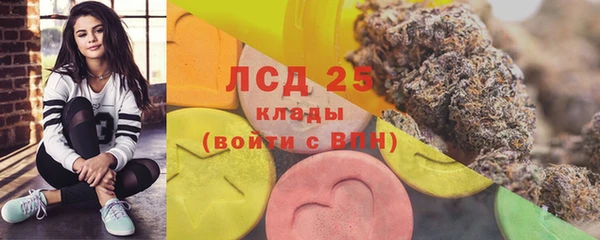 гашик Лихославль